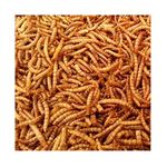 Croston Corn Mill 10kg Wheatsheaf Dried Mealworms for Wild Birds