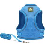 Wooflix Dog Harness for Small Dogs and Puppies – Reflective Soft Padded Dog Harness with Secure Fit, – Suitable for Small Size Dogs, Cats & Puppies of up to 10 Kg (Up to 4.5 KG Dog/Cat, Blue)