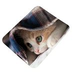 Clapcart Cat Soft Design Printed Rubber Base Mat Finish Mouse Pad for PC/Laptop - Multicolor