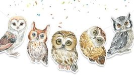 Owl Woodland Animals Birthday Banner Forest Animals Party Supplies Baby Shower | Birthday Decorations for Owls Watercolor Animals