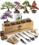 Avergo Bonsai Tree Kit – 5X Unique Japanese Bonzai Trees | Complete Indoor Bonsai Starter Kit for Growing Bonsai Plants with Tools & Planters – Gardening Gifts for Women & Men