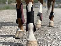 Ride Now Horse Tendon Boots Open Fr