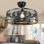 DLLT 20" Caged Ceiling Fan with Lights: Flush Mount Fan Light for Bedroom - Remote Ceiling Fan for Farmhouse, DC Motor Black