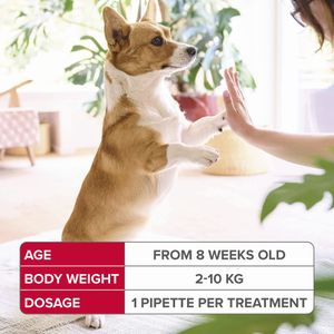 Beaphar FIPROtec Small Dog Flea & Tick Treatment