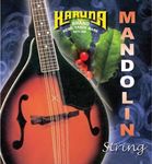 KARUNA MANDOLIN STRING BY CHENNAI MUSICALS