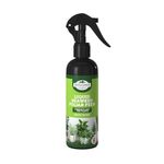 Growlands Seaweed Foilar Feed - 300 ml - Organic Indoor Plant Liquid Spray Fertilizer - Designed for Houseplants - Ready to Use Mist Spray - Promotes Growth and Health