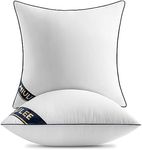 MIULEE 18x18 Pillow Inserts Set of 