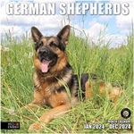 RED EMBER German Shepherds 2024 Han