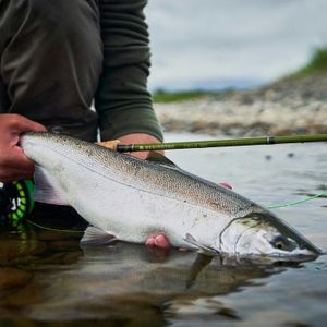 Redington Euro Nymph Fly Fishing Kit – Rod, Reel & Line Set
