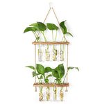 Hyindoor Propagation Station, 2 Tiered Plant Terrarium Glass Planter Wall Hanging Test Tube Vase for Hydroponic Plants Home Garden Indoor Decor (8PCS)