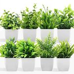 WYTE ORIGIN Artificial Potted Plants, 8 Pack Artificial Plastic Eucalyptus Plants Small Indoor Potted Houseplants, Small Faux Plants for Home Decor Bathroom Office Farmhouse, (Set of 8) Green