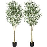 CROSOFMI Artificial Olive Tree Plant 180 cm Fake Topiary Silk Tree, Perfect Faux Plants in Pot for Indoor Outdoor House Home Office Garden Modern Decoration Housewarming Gift,2Pack