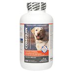 Nutramax Cosequin Maximum Strength Joint Health Supplement for Dogs - with Glucosamine, Chondroitin, and MSM, 250 CT Chewable Tablets