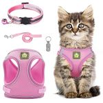 Cat Harness and Lead Set,Adjustable Reflective Stripe Cat Kitten Walking Vest with Leash Cat Collar,Escape Proof Soft Mesh Vest Harness and Lead for Small Medium Cats Pets Walking