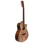 Skb Electric Acoustic Guitar