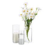 Glasseam Cylinder Glass Flower Vase Clear, 3Pcs/Set Modern Basic Vases for Table Decoration Wedding Centrepieces Flowers Roses Pampas Grass Candle Holders for Living Room Ornaments, 15/20/25cmTall