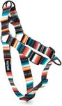 Wolfgang Premium No Pull Dog Harness, Dog Harness for Large Dog, Durable & Easy to Clean Nylon with Quick Clip Buckles, for Training & Daily Use, Made in USA, LostArt Print, (1 Inch x 20-30 Inch)