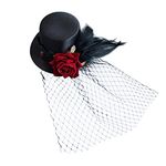 Beaupretty Mini Top Hat Hairclip, Veil Hat Hairclip Hat Hairclip Party Headwear With Veil for Weeding Cosplay Party