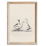 Vintage Duck Wall Art Prints Minimalist Abstract Animal Picture for Wall Decor Antique Vintage Painting Farmhouse Wall Decor Country Farm Animal Artwork for Living Room Kitchen Decor -16x24inch Poster