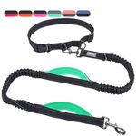 VIVAGLORY Hands Free Dog Leash with Dual Advanced Anti-Shock Bungees and Padded Handles, Reflective Waist Running Leash with Adjustable Belt for Training Jogging for Medium Large Dogs, Black/Turquoise