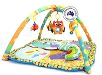 Little Archer & Co.™ Baby Floor Activity Play Gym, Baby Play Mat Great for Learning and Play During Awake Time, Baby Playmat Activity Play Gym for Newborns & Infants