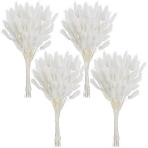 Phliofd 480Pcs Bunny Tails Dried Flowers, Natural Dried Bunny Tails Grass Dried Lagurus Ovatus Rabbit Tail Grass for Flowers Arrangements DIY Craft Wedding Party Home Table Decor (White)