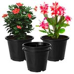 Kuber Industries Plastic Planters|Gamla|Flower Pots for Garden Nursery Home D?cor,8"x6",Pack of 4 (Black)