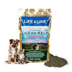 Lifeline Organic Ocean Kelp Dog and Cat Supplement, 1-1/2-Pound