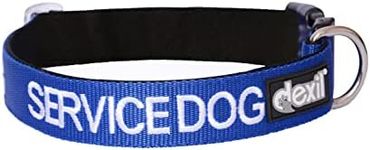 Service Dog Blue Color Coded Nylon 