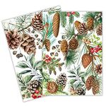 Michel Design Works Kitchen Towel, White Spruce, Set of 2