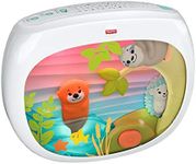 Fisher-Price Baby Toy Settle & Slee