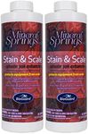 BioGuard Mineral Springs Stain and Scale (qt) (2 Pack)