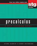 Precalculus: A Self–Teaching Guide