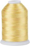 Simthread Variegated Polyester Embroidery Thread 5500Yards 5000M High-Yardage 40WT 100% Polyester Thread, High-Speed Rated – Compatible with Brother, Singer, Janome & More-S116