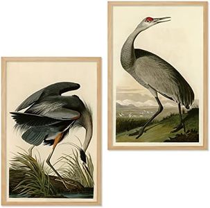 Ujoyful Vintage Heron and Stork Birds Print | Set of 2 Wild Bird Wall Art | Freshwater Wading Bird Decor | Audubon Bird Prints | Vintage Painting Set for Home, Office Wall Decor (11"x17" Unframed)