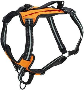 PetSafe Wa