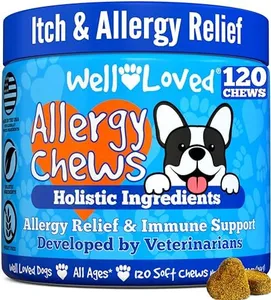 Well Loved Dog Allergy Chews - Dog Allergy Relief, Made in USA, Vet Developed, Hot Spot Treatment for Dogs, Dog Itch Relief, Anti Itch for Dogs, Dog Vitamins, Dog Skin Allergies Treatment, 120 Count