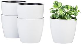 Amazon Brand - Solimo Round Self-Watering Cool Pots | Unique Design | Indoor and Outdoor Flower Pot for Home/Office/Table/Garden/Balcony Decoration | 6 inch (Set of 5)