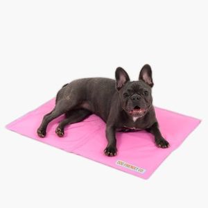 DF Co. Dog Cooling Mat for Summer | Automatic Cooling, Easily Foldable, Non-Toxic Gel Interior | Pink, Size S