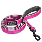 Leashboss 6ft Dog Leash | Ultra Comfort Double-Thick Soft Padded Handle | Reflective Leash for Large Dogs, Medium Dogs | Heavy Duty Leash for Large Breed Dogs | Nylon Leash for Small Dogs/Puppies