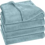 BSB HOME® Premium Plush Double Blanket | 300 GSM Lightweight Cozy Soft for Bed, Sofa, Couch, Travel & Camping| Light Blue, 220x230 cm or 86x90 inches