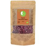 Organic Red Kidney Beans -Certified Organic- by Busy Beans Organic (1kg)