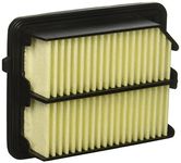 WIX Filters WA10124 Air Filter