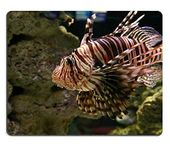 Mouse Pad Gaming Mouse pad Natural Rubber mouse mat Large lion fish in ocean M0A04117