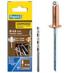 Rapid High Performance Copper Coated Aluminium Rivets, Ø4.8 x 12 mm - 4.8mm Rivets for Gutters, Piping, and Sheet Metal - Includes Drill - 50 Pieces, Carton Boxed (5001467)