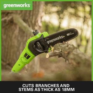 Greenworks Cordless 2-in-1 Pole Saw & Hedge Trimmer – 20cm Bar, 51cm Blades, Shoulder Strap