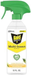 Raid Essen