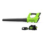 Greenworks 24V Cordless Jet Blower, 2.0 AH Battery Included