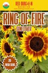 Ring of Fire Sunflower Seeds - 20 Fresh Seeds