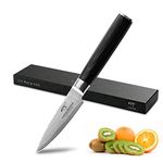 NANFANG BROTHERS Damascus Paring Knife 3.5 Inch, Pro Grade 67 Layer VG10 Stainless Steel Ultra Sharp Knife, Kitchen Knife with Ergonomic Handle, Presented in Gorgeous Gift Box